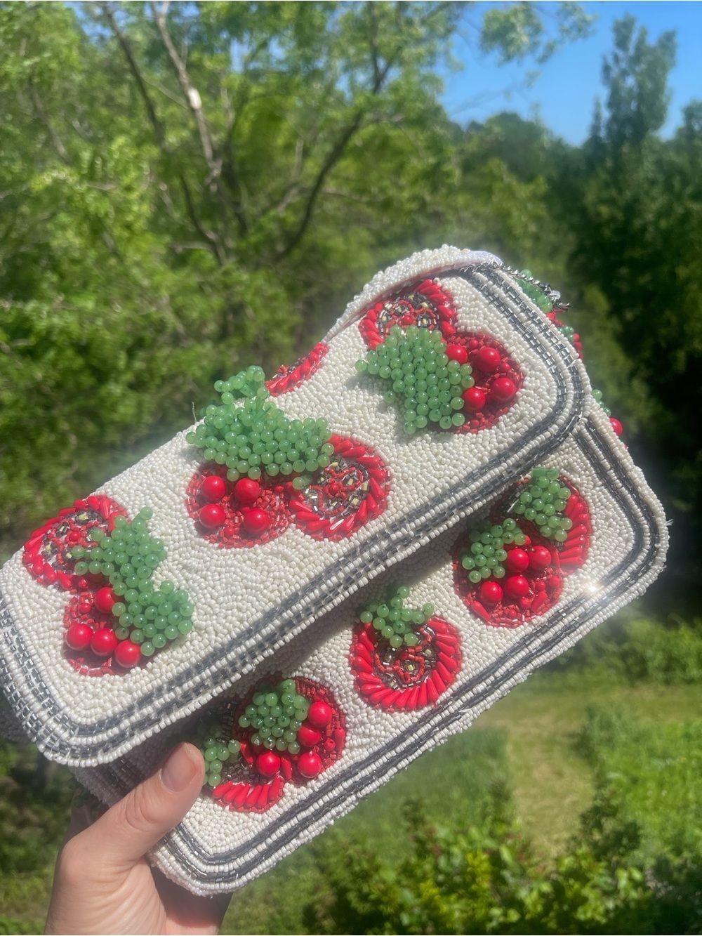 Viral Beaded Bag - Tomatoes - HOT TikTok Trend - rare find